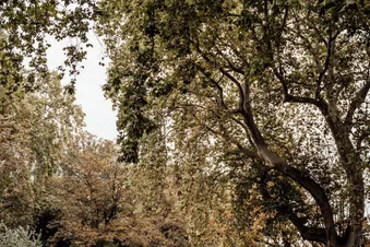 Rundflug „Rheinturm & Düsseldorf“ - Ledersitze mit PA28-181