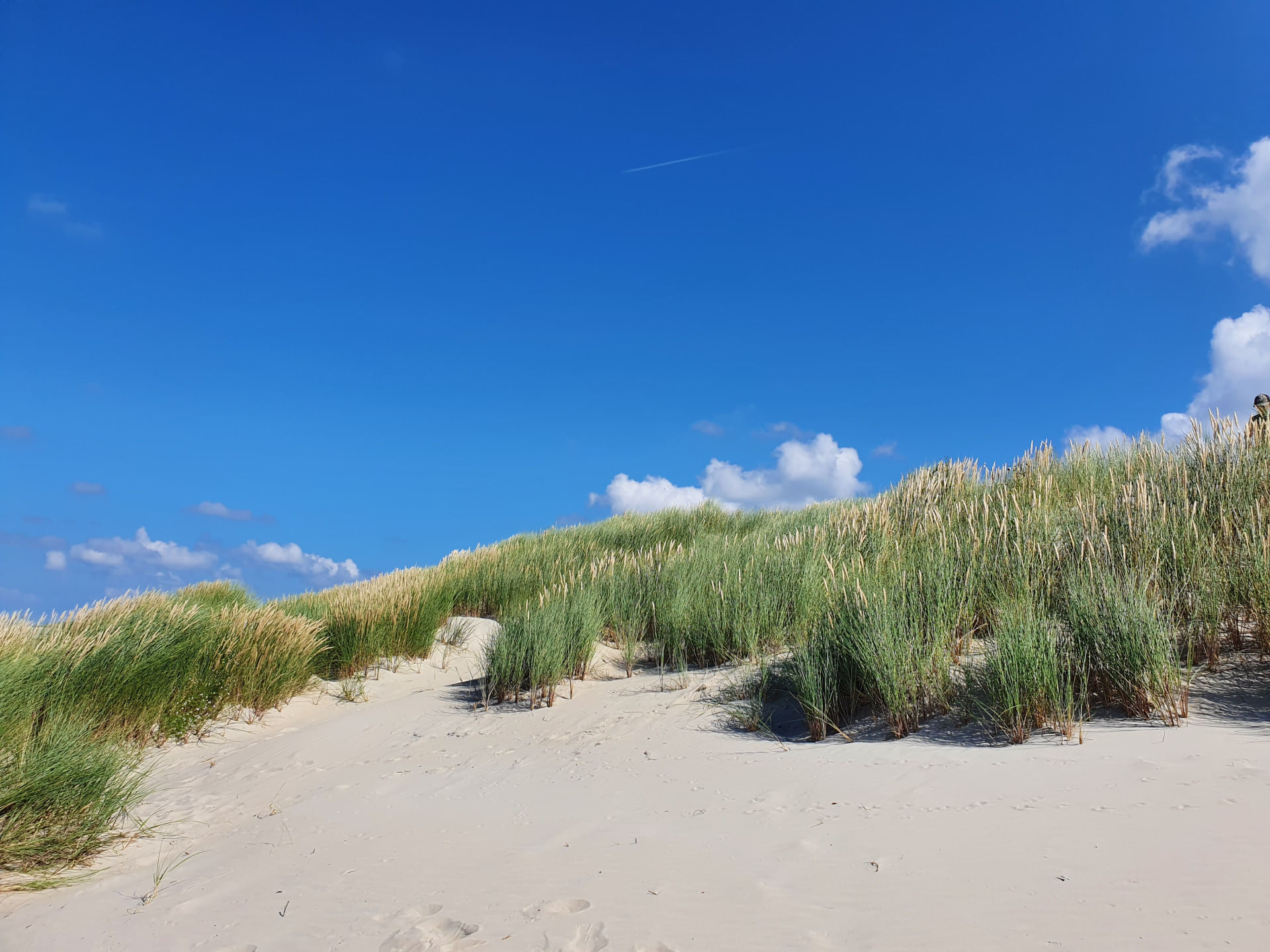 Tagesausflug nach Borkum