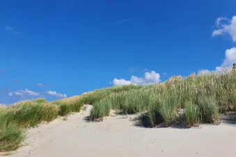 Tagesausflug nach Borkum