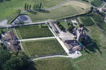 Vignoble et château