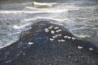 Tagesausflug an die Nordsee - Norderney