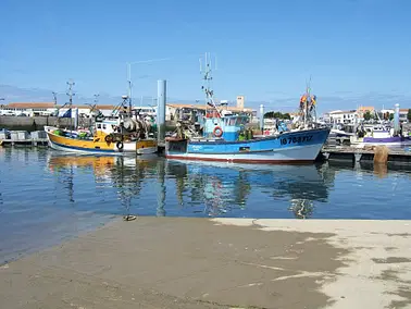 Balade sur l'île d'Oléron à la journée ! (A/R)