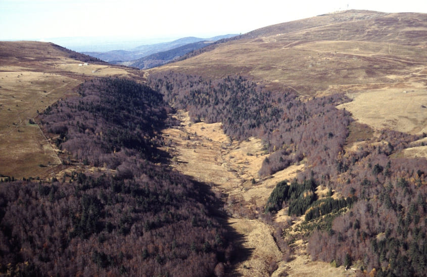 Monts du Forez - Pierre-sur-Haute