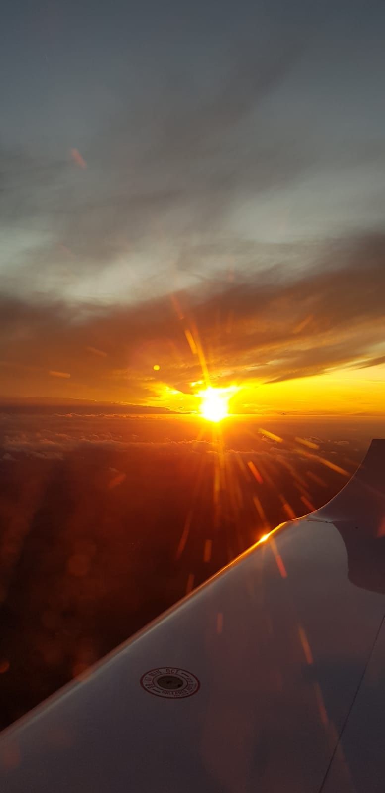 Direktflug Frankfurt nach Bozen
