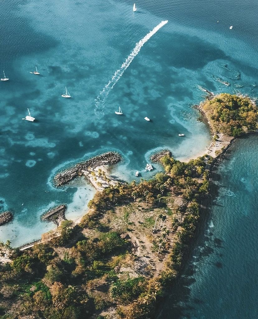 Vol Martinique au choix !