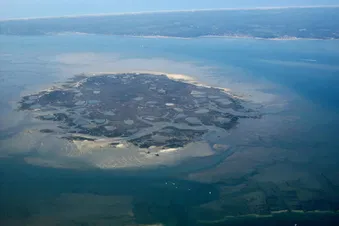 Balade aérienne : Bassin d'Arcachon (2 ou 3 passagers)