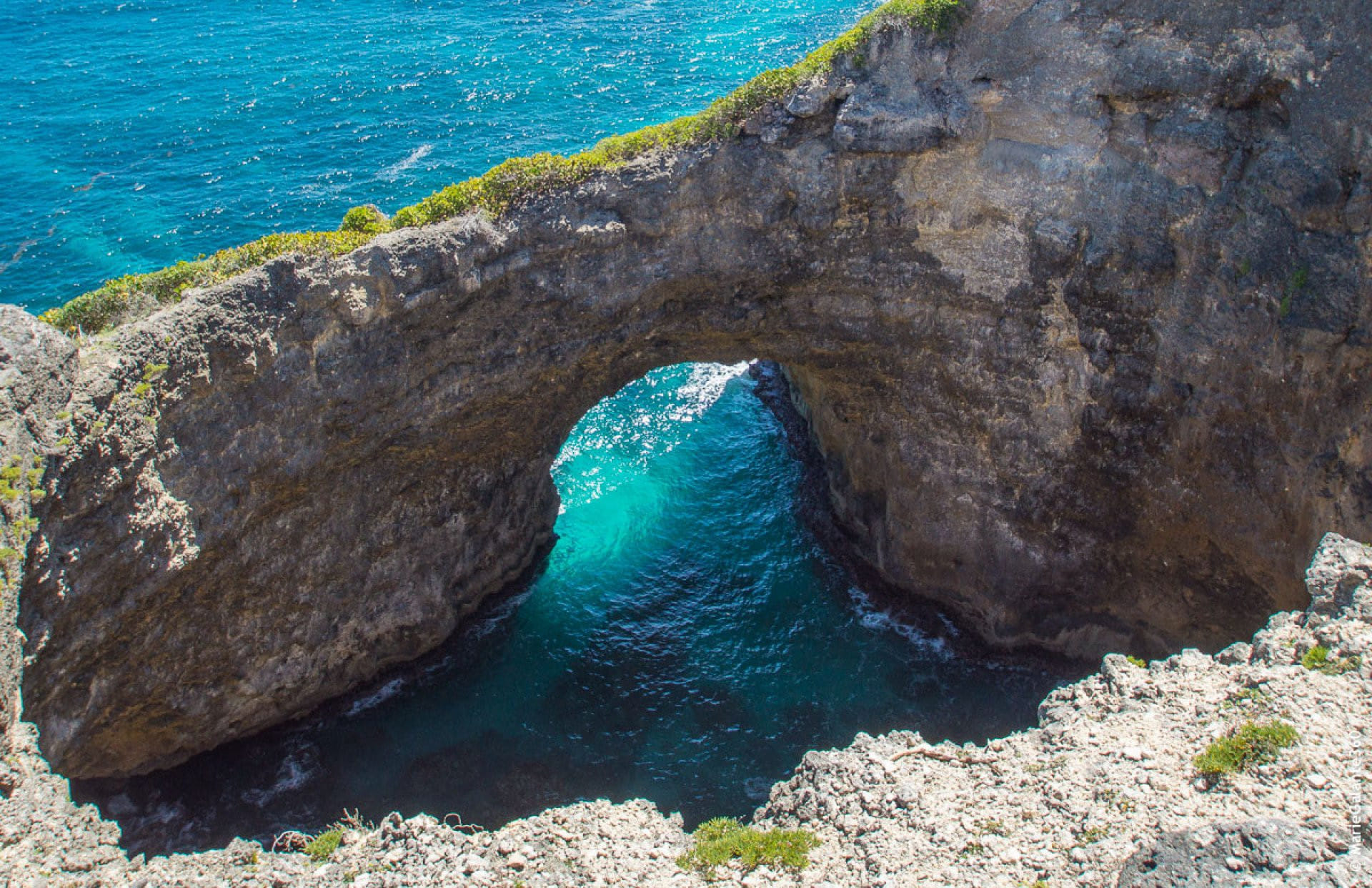 🌼🌹 Aller-Retour à Marie-Galante 🎉