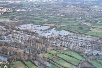 Vol découverte du Marais Poitevin et de La Venise Verte