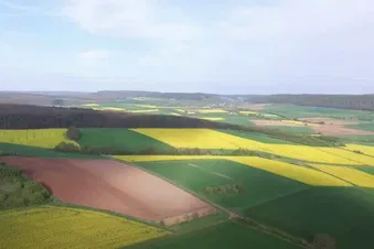 Nur kurze Zeit - Rapsfelder von oben aus sehen (RAD)