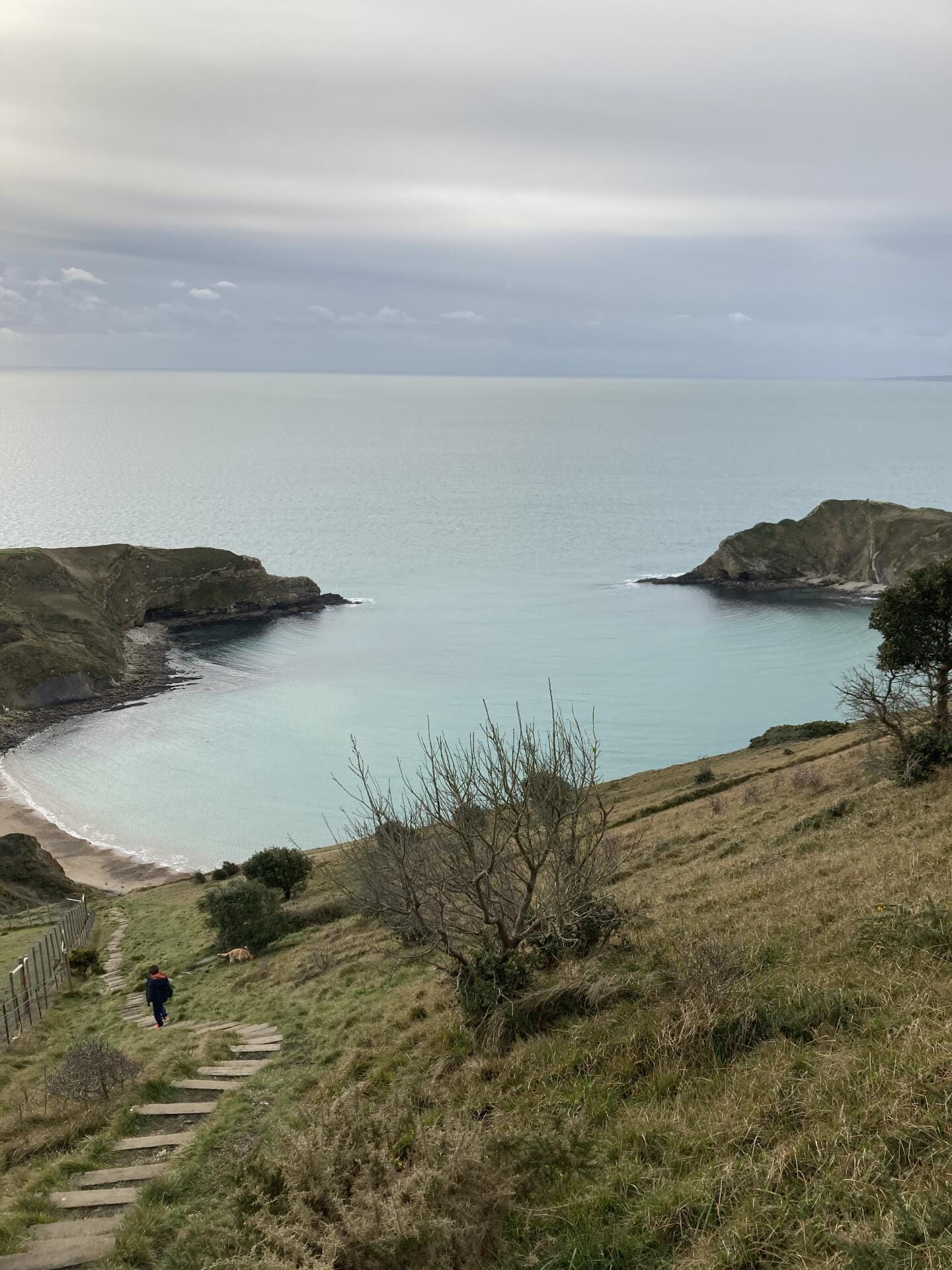 Jurassic Coast Run