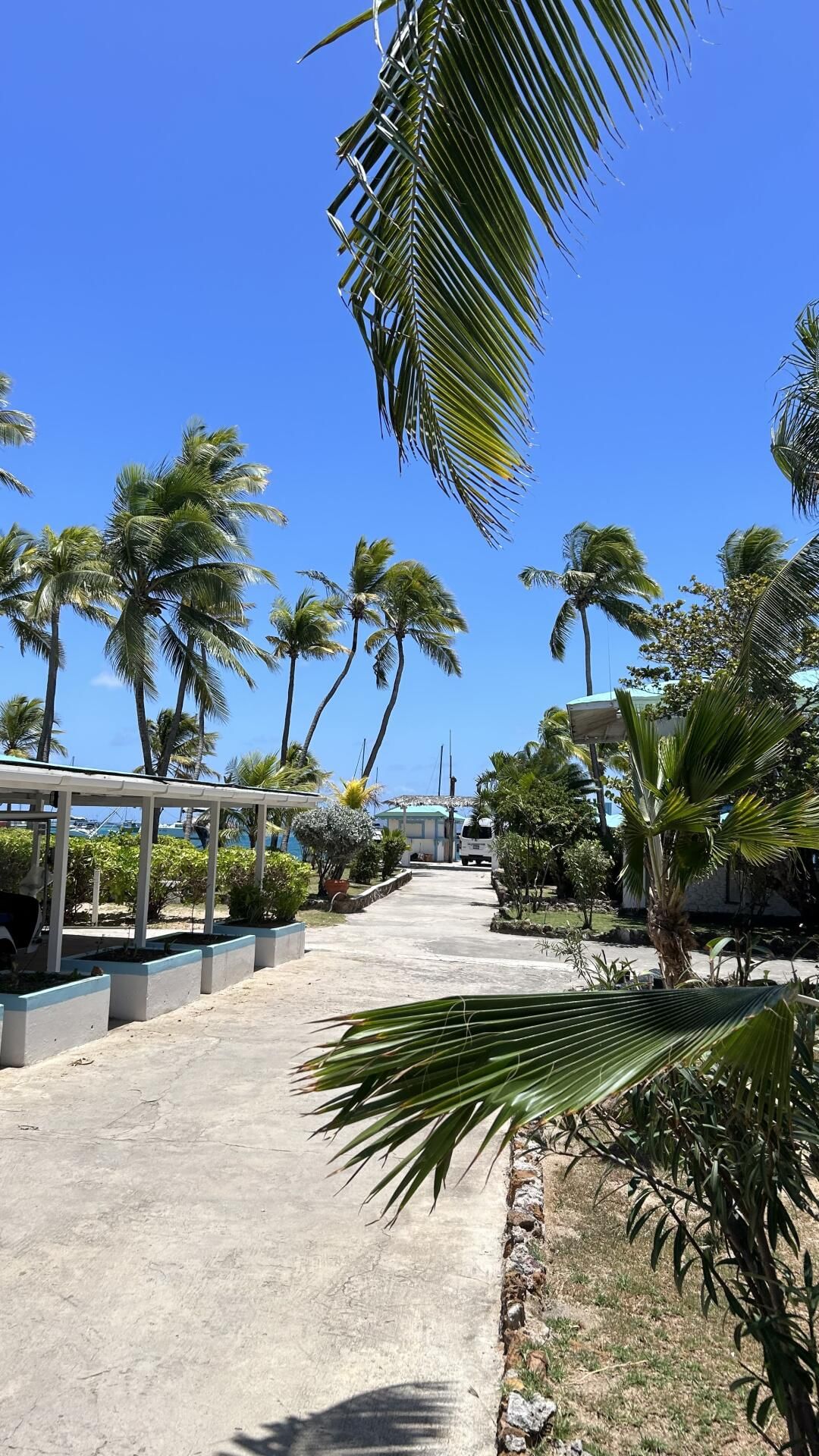 Vol à destination d’Union Island