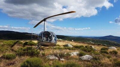 Robinson R44