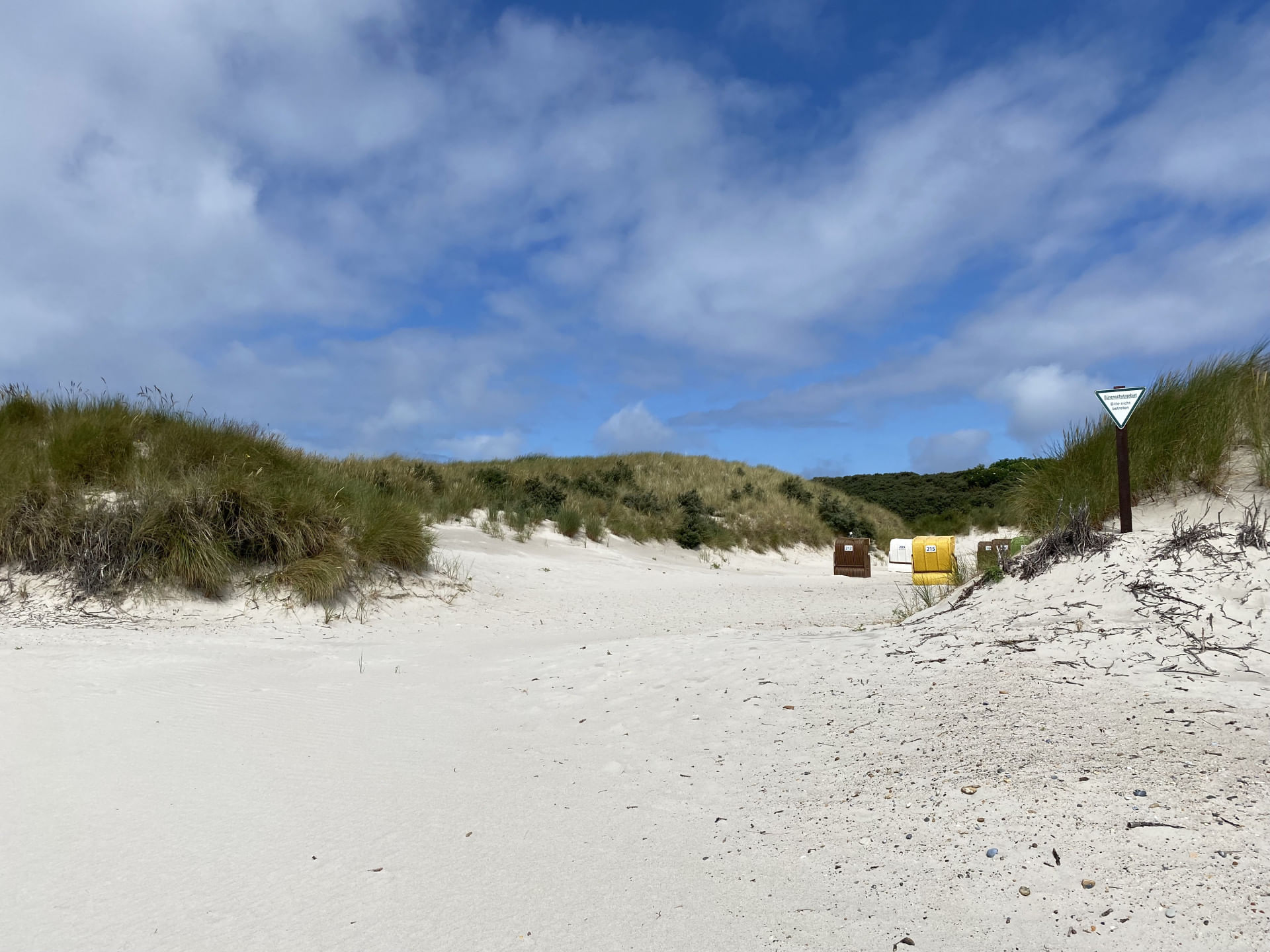 Frankfurt Texel direkt und abends zurück oder bleiben