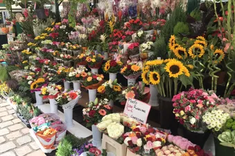 Altstadt Bozen / Trient Italien, Tagesausflug über die Alpen