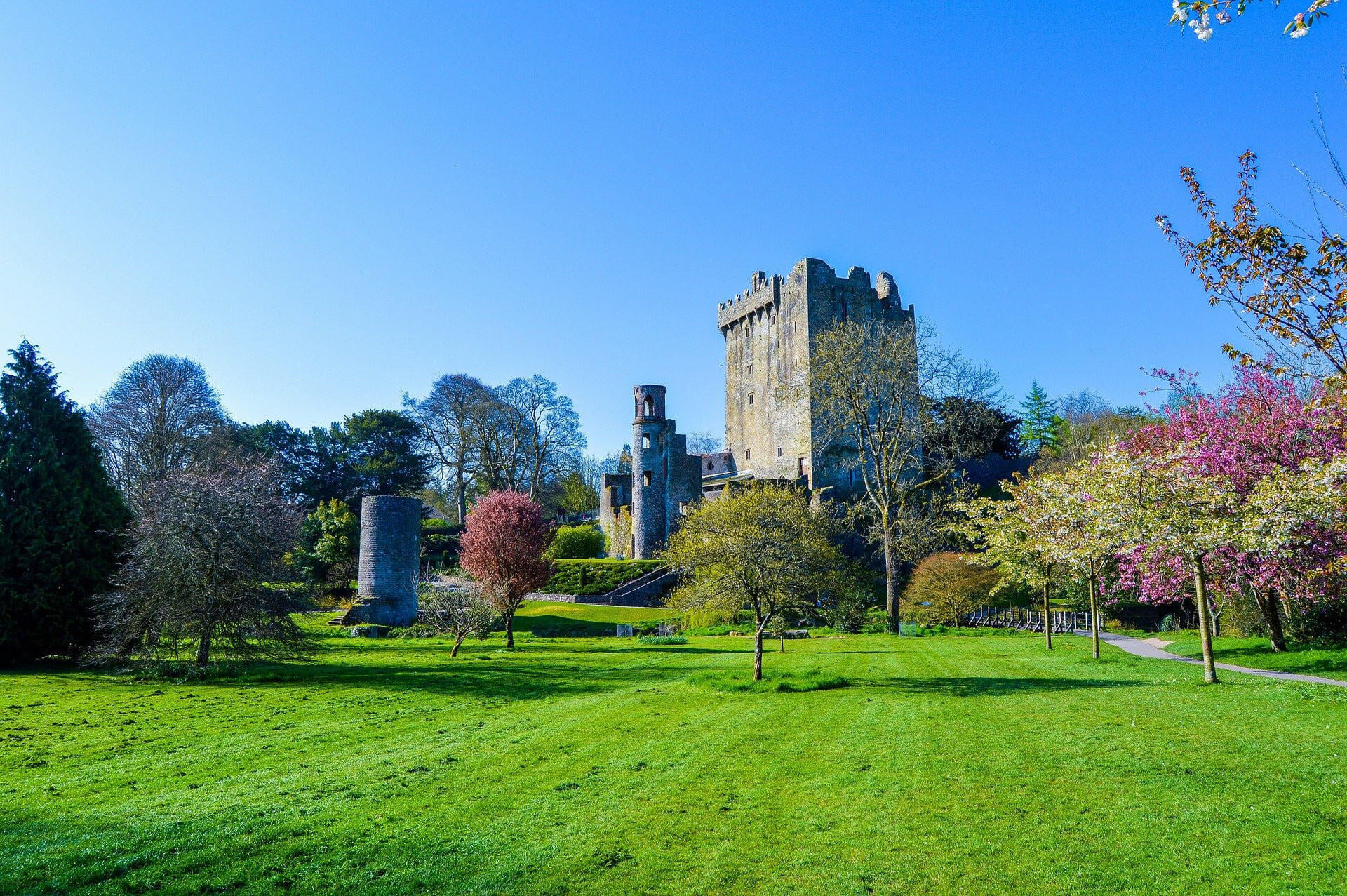 Excursion flight: Cork Ireland
