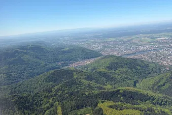 Black Forest & Freiburg Day Trip | English / Italiano