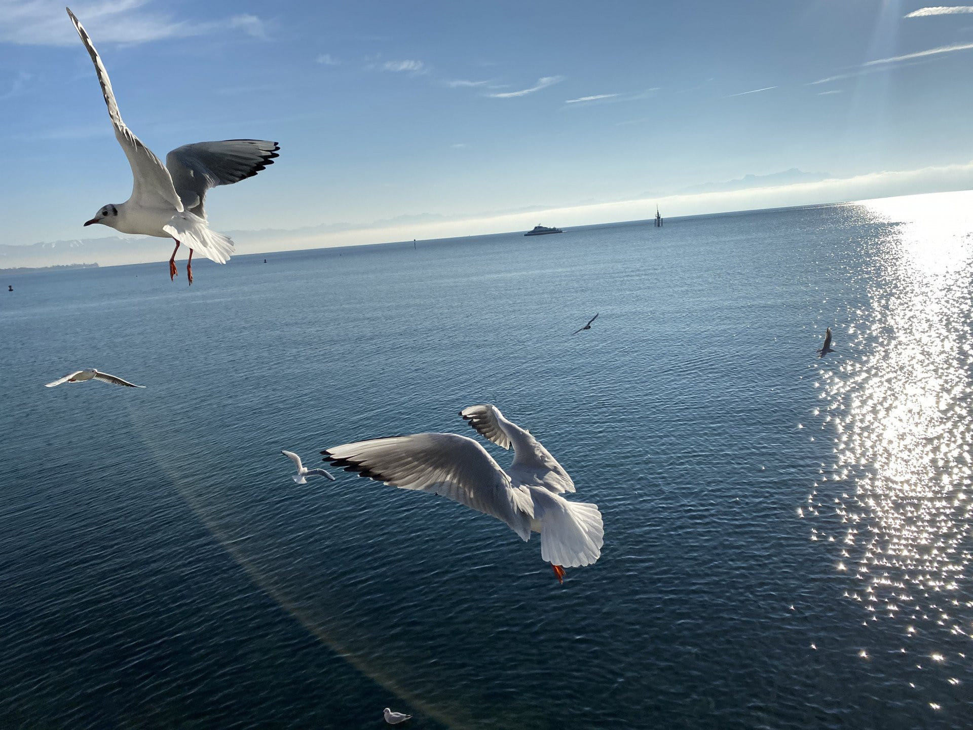 Ein Tag am Bodensee (Friedrichshafen)