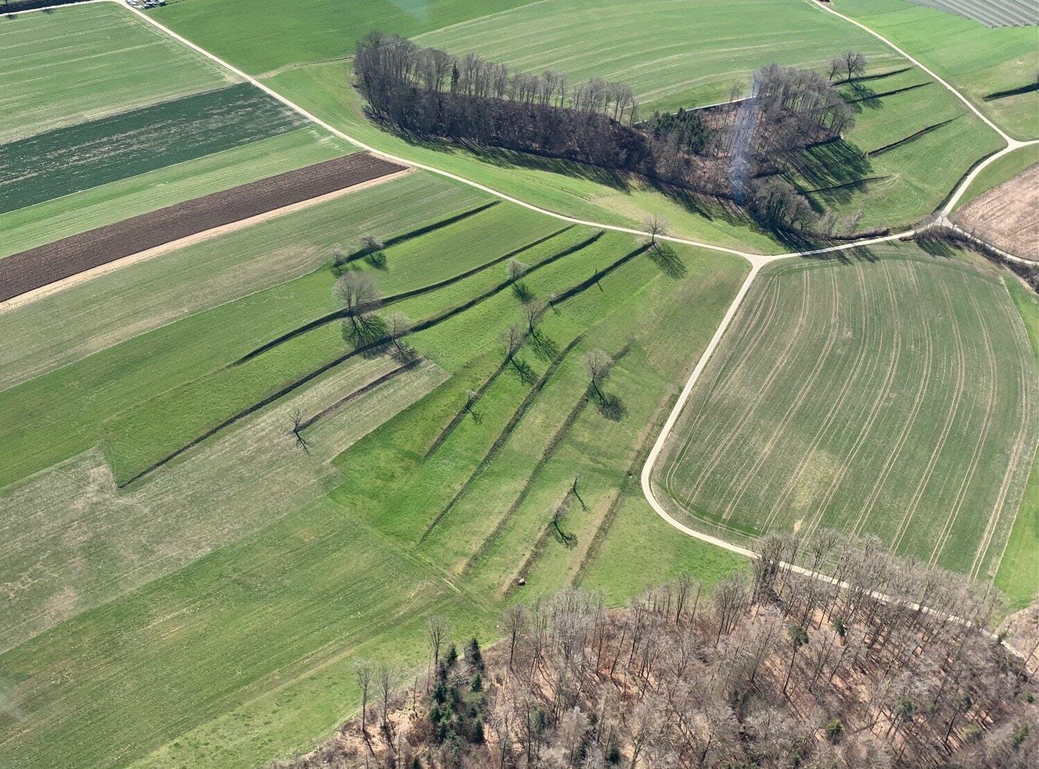 De la Gruyère aux 3-Lacs (Grande Cariçaie et Ile St-Pierre)