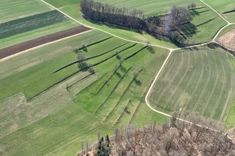 De la Gruyère aux 3-Lacs (Grande Cariçaie et Ile St-Pierre)