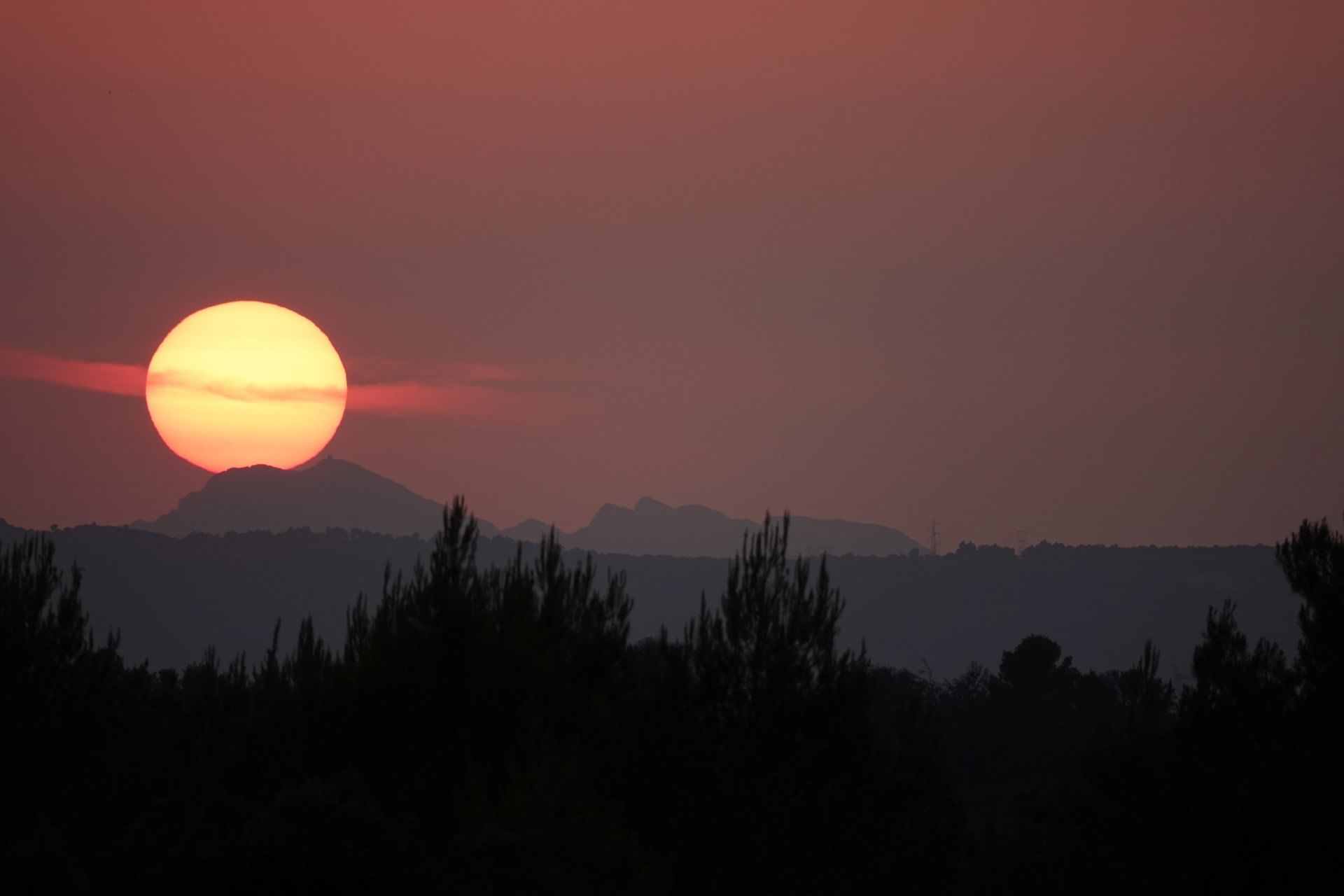 Vol d'excursion : Albi  le Tarn et retour Aix ou Nîmes