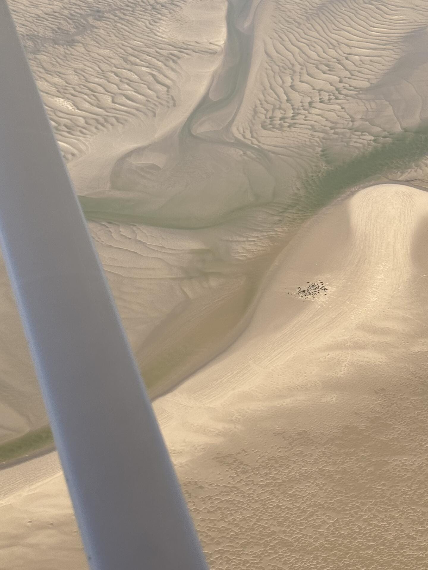 Survol de la Baie de Somme