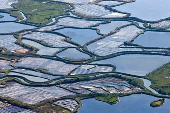 Marais salants de Guérande