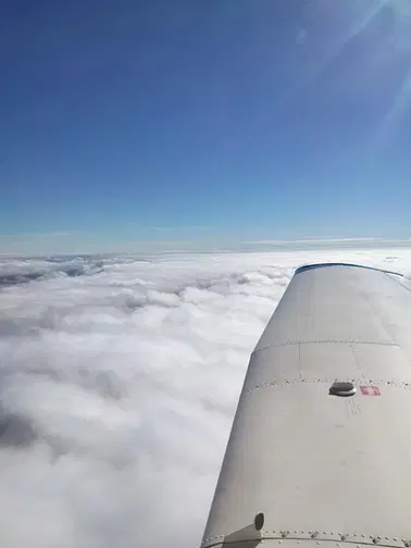 Local flight