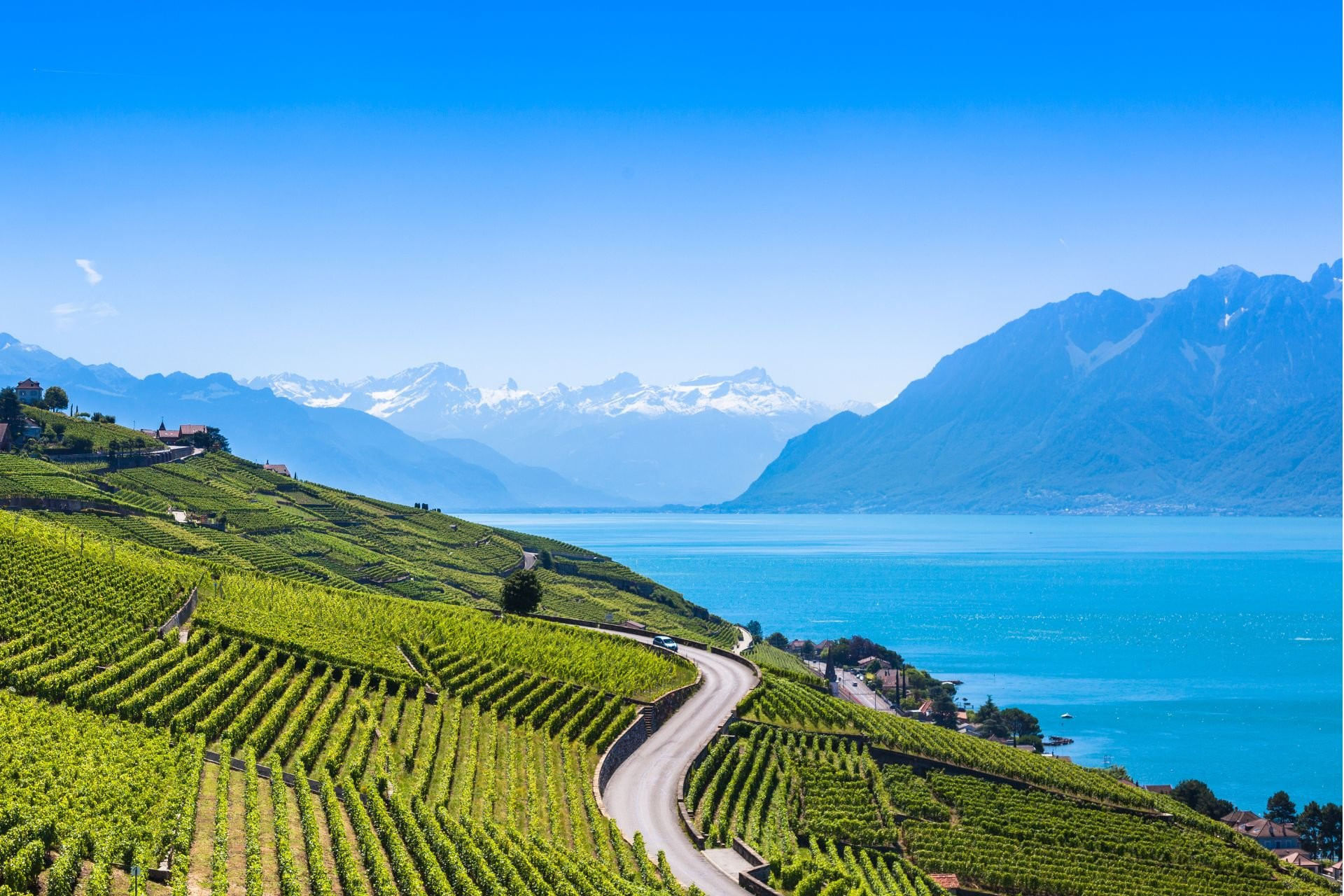 Vol Privatif - Lavaux et Le Mont-Pèlerin en Hélicoptère