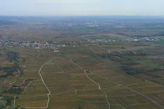 Coteaux bourguignons