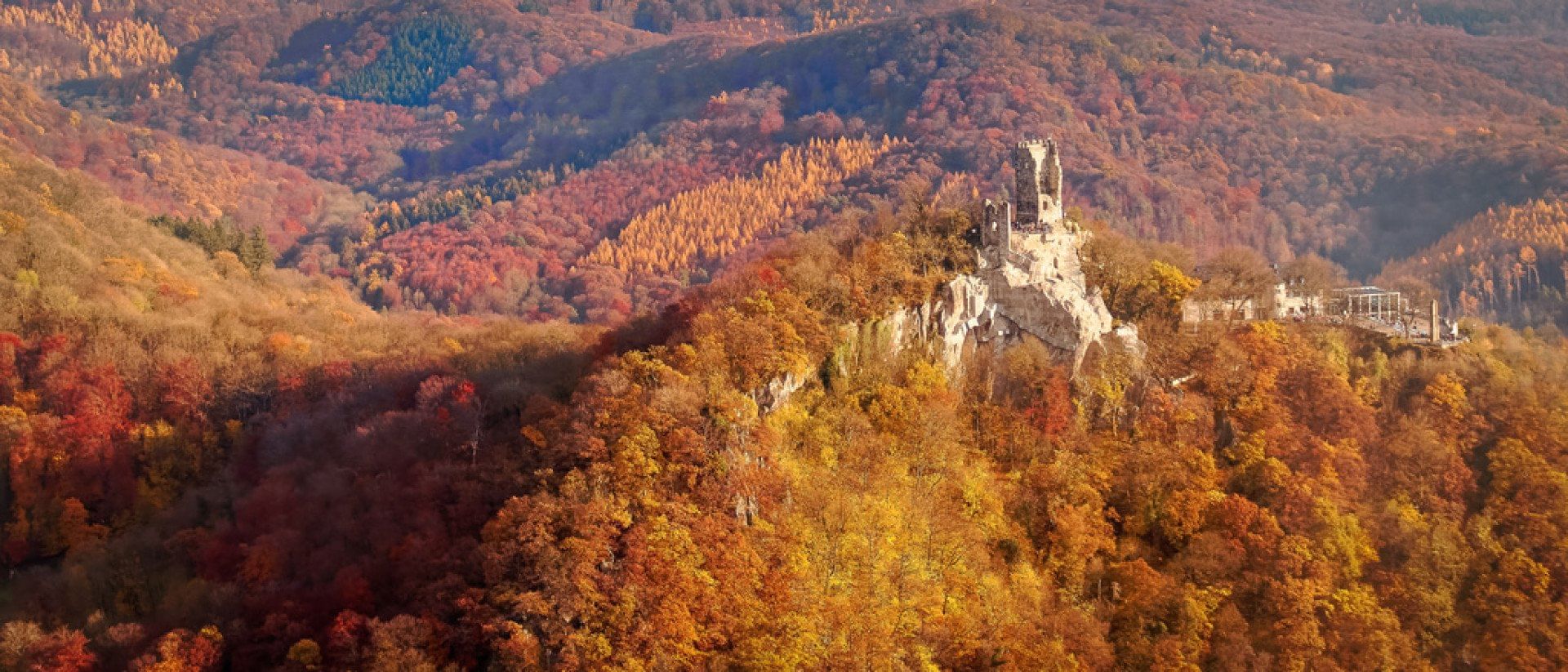 Ein Abstecher zum Laacher See