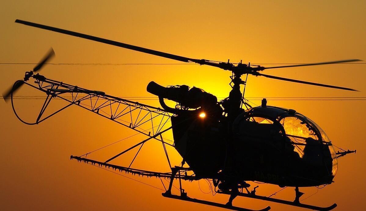 Une alouette sous le soleil couchant