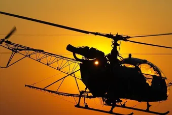 Une alouette sous le soleil couchant