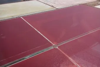 Balade aérienne au départ de La Môle St Tropez