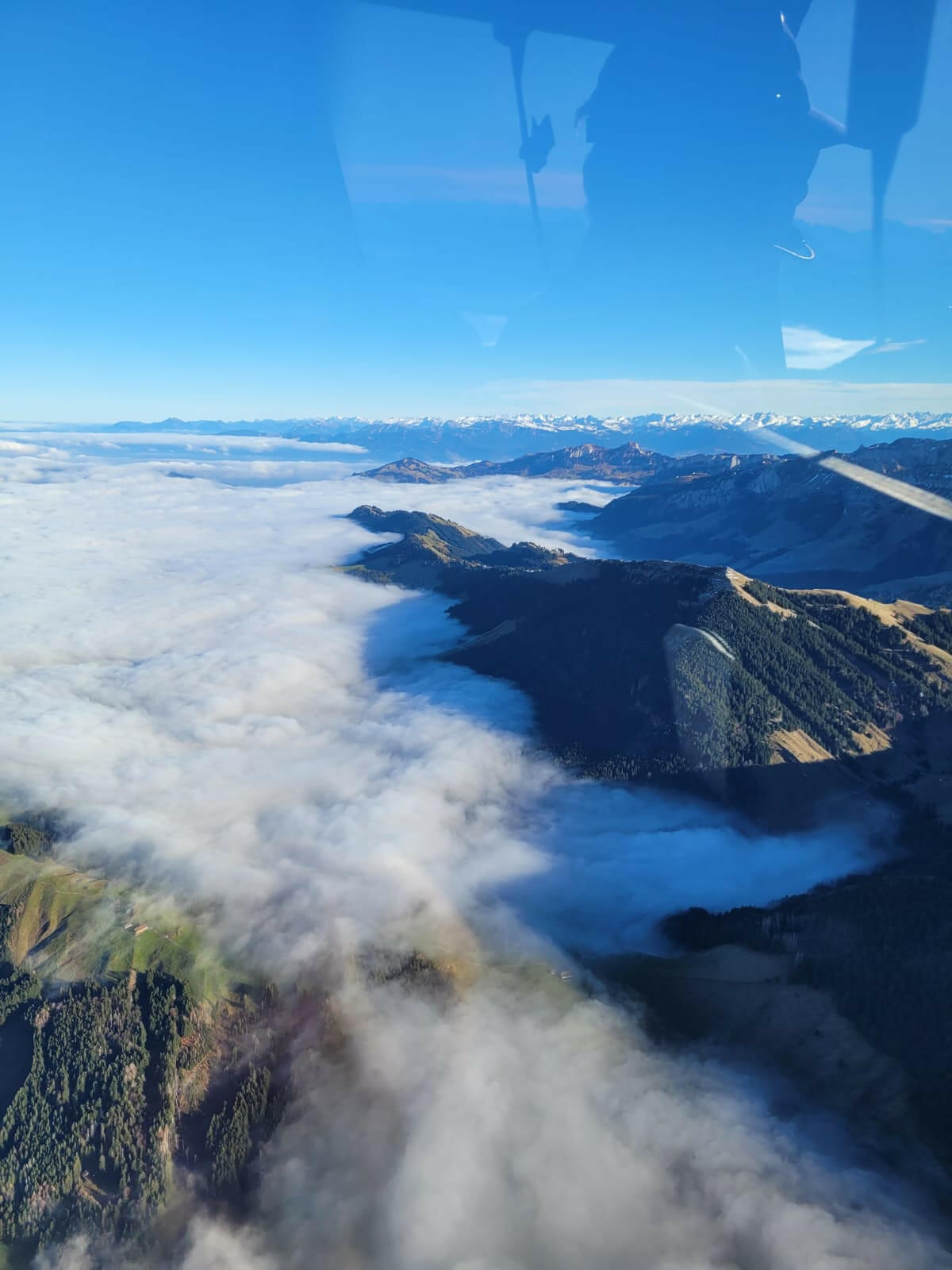 Rundflug Alpstein oder Bodensee