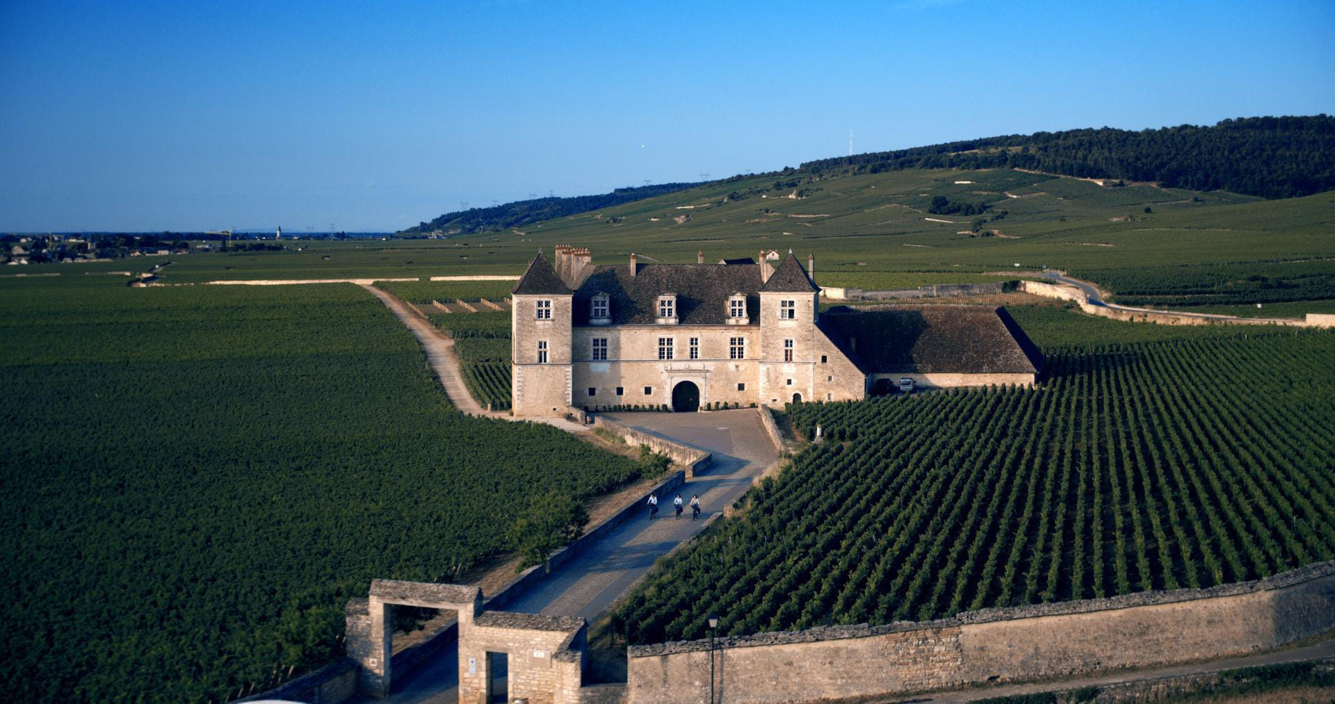 Château du clos de Vougeot
