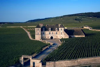 Château du clos de Vougeot
