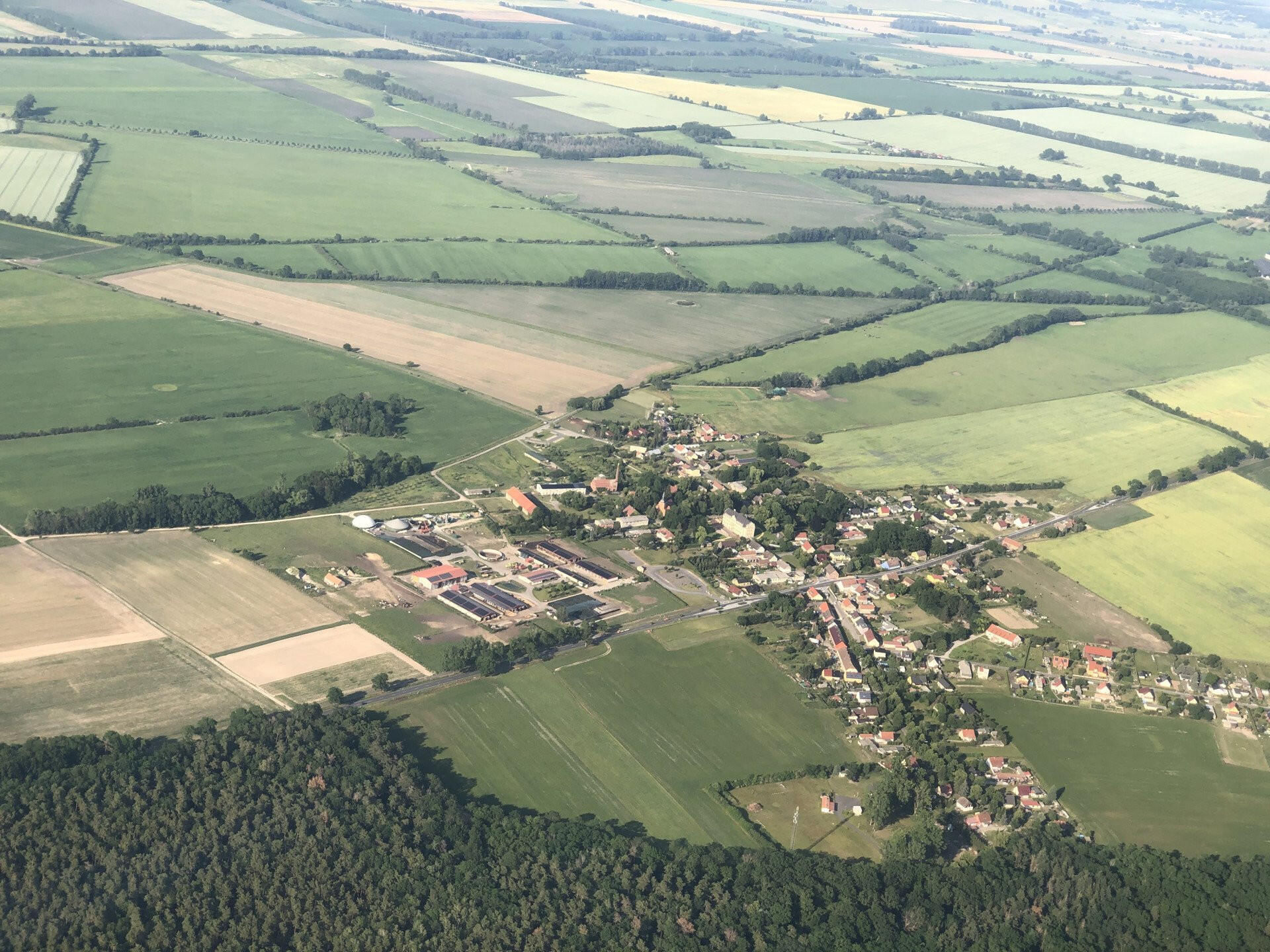 Kleiner Rundflug um die Bienenfarm