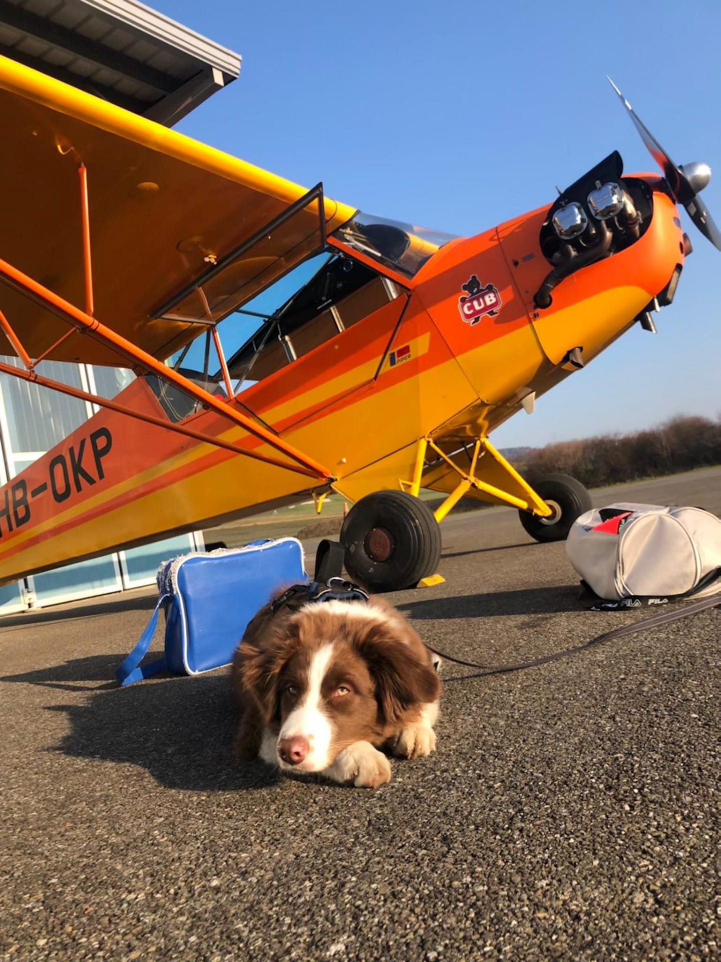 Lucerne City - Oldtimer Tour to the Central Swiss Alps