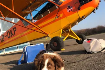 Lucerne City - Oldtimer Tour to the Central Swiss Alps