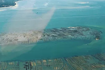 Découvrez le Bassin D'Arcachon vu du ciel