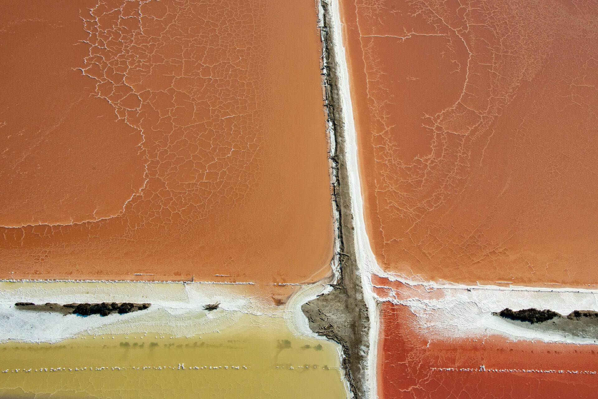 Survol du littoral - Réserve Naturelle de Camargue en hélico