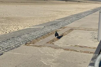 Wilhelmshafen nach Mönchengladbach