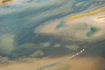 Vol Hélico - Au fil du Rhône et de la côte Camarguaise