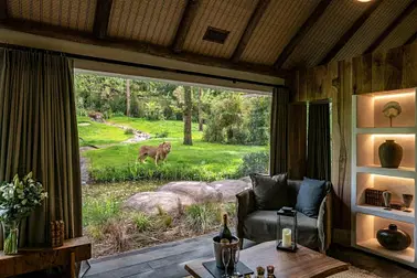 Voyage aérien VIP vers le Zoo de La Flèche depuis Besançon