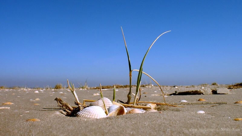 Tagesausflug nach St.Peter-Ording (min. 2 PAX)