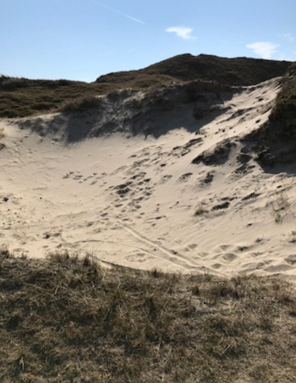 Tagesausflug auf die ostfriesische Insel Norderney