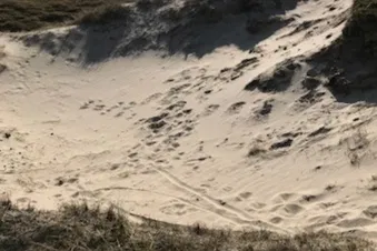 Tagesausflug auf die ostfriesische Insel Norderney