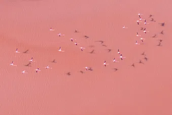 Survol du littoral - Réserve Naturelle de Camargue en hélico