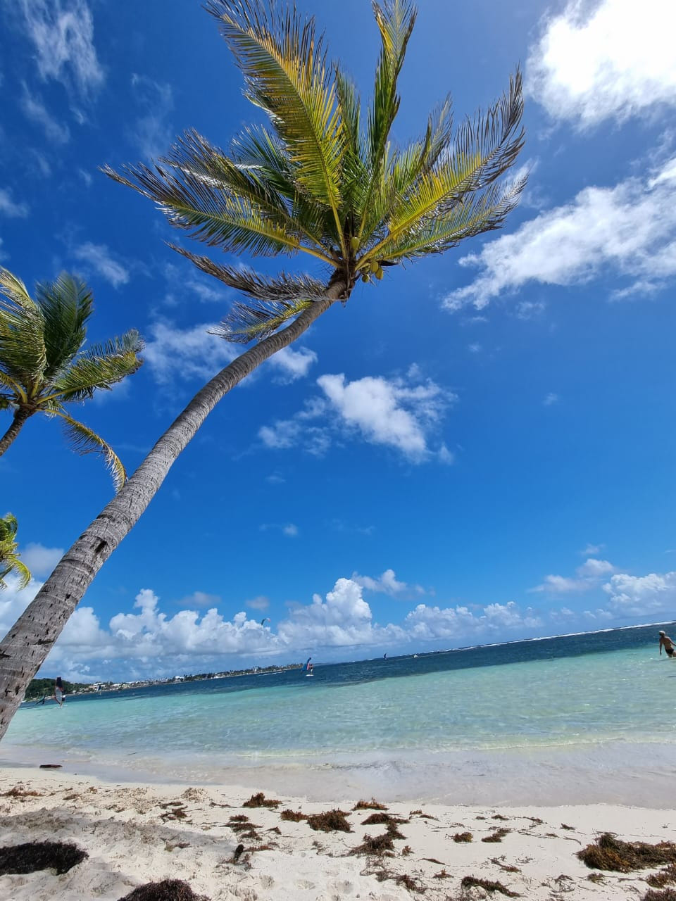 Escapade d’une journée à Saint-François en Guadeloupe