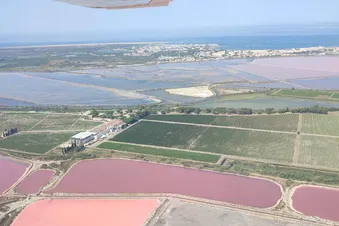 Les salins / The salt marshes